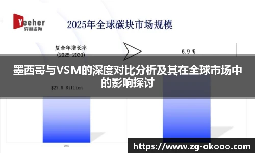 墨西哥与VSM的深度对比分析及其在全球市场中的影响探讨